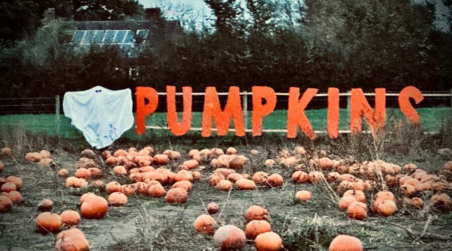 A large sign made out of individual orange letters saying PUMPKINS with a sheet ghost next to it