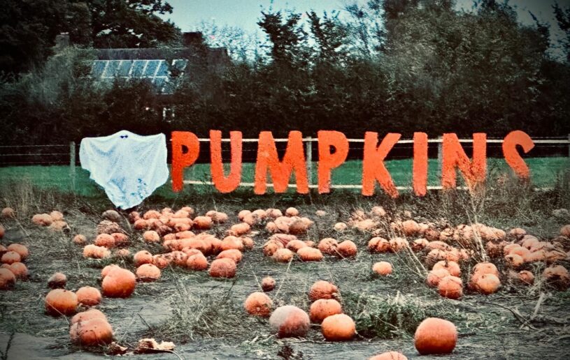 A large sign made out of individual orange letters saying PUMPKINS with a sheet ghost next to it