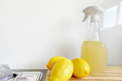 How to Keep Your Home Smelling Fresh Without Air Fresheners